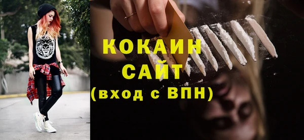 мяу мяу мука Горно-Алтайск
