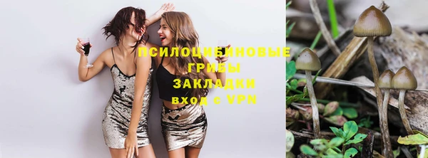 мяу мяу мука Горно-Алтайск