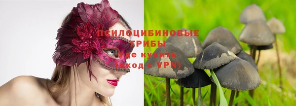 эйфоретик Гусь-Хрустальный