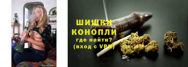 эйфоретик Гусь-Хрустальный