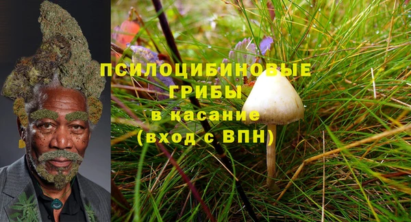 гидропоника Горнозаводск