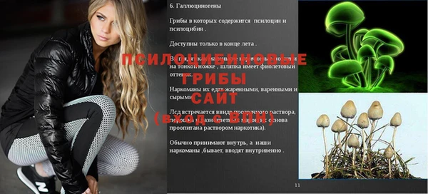 первитин Гусиноозёрск