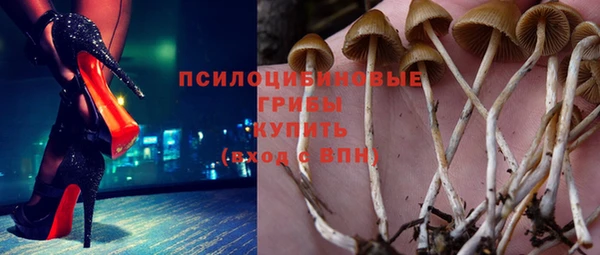 мяу мяу мука Горно-Алтайск