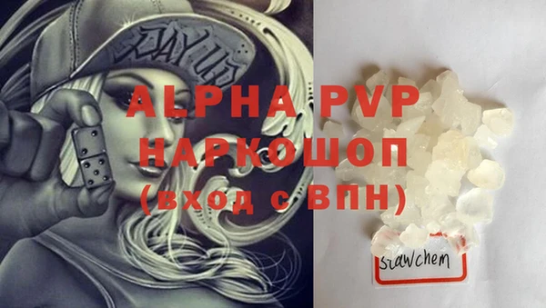 мяу мяу мука Горно-Алтайск