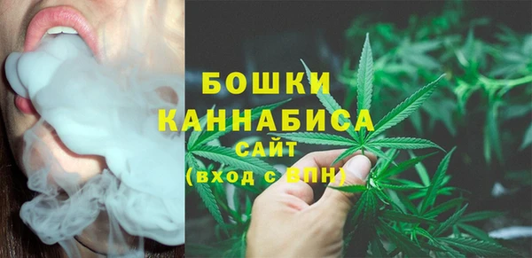мяу мяу мука Горно-Алтайск