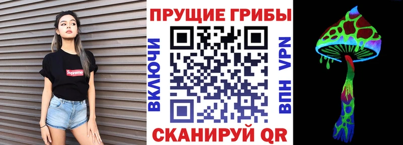 Купить закладки  Тейково  Псилоцибиновые грибы Magic Shrooms 