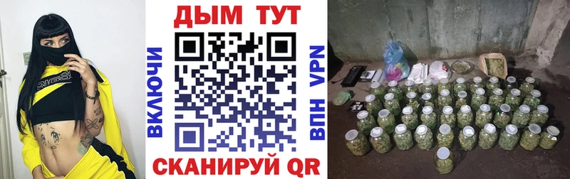 Шишки марихуана сатива  Купить  Тейково 